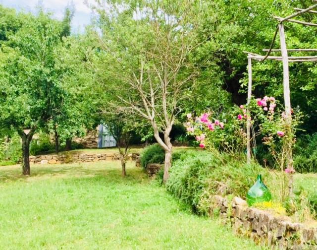 Il Capriolo Villa San Cerbone Ngoại thất bức ảnh